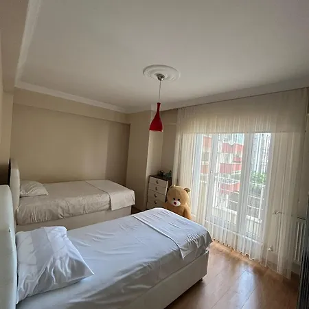 Trabzon-1 *